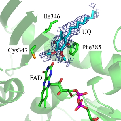 Fig. 6.