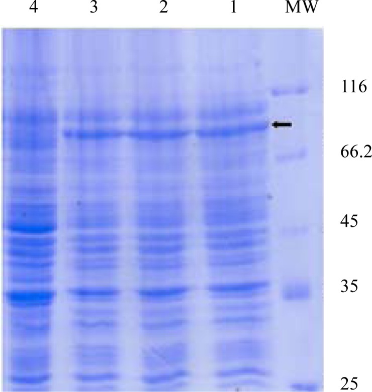 Fig. 9