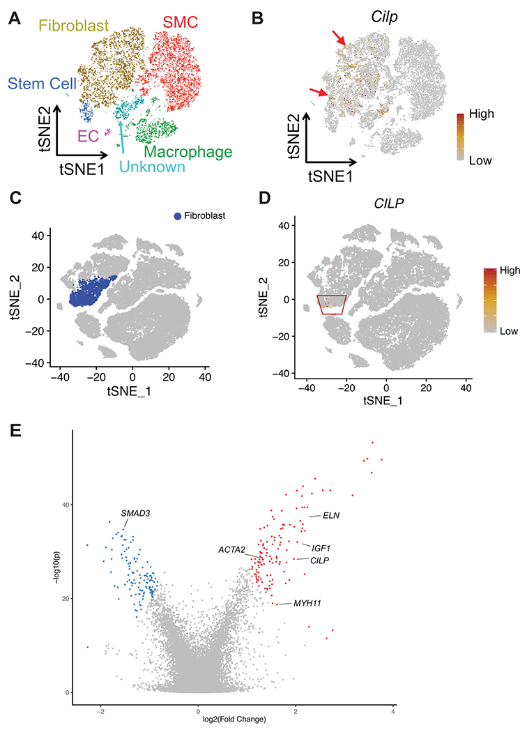 Extended Data Fig. 7