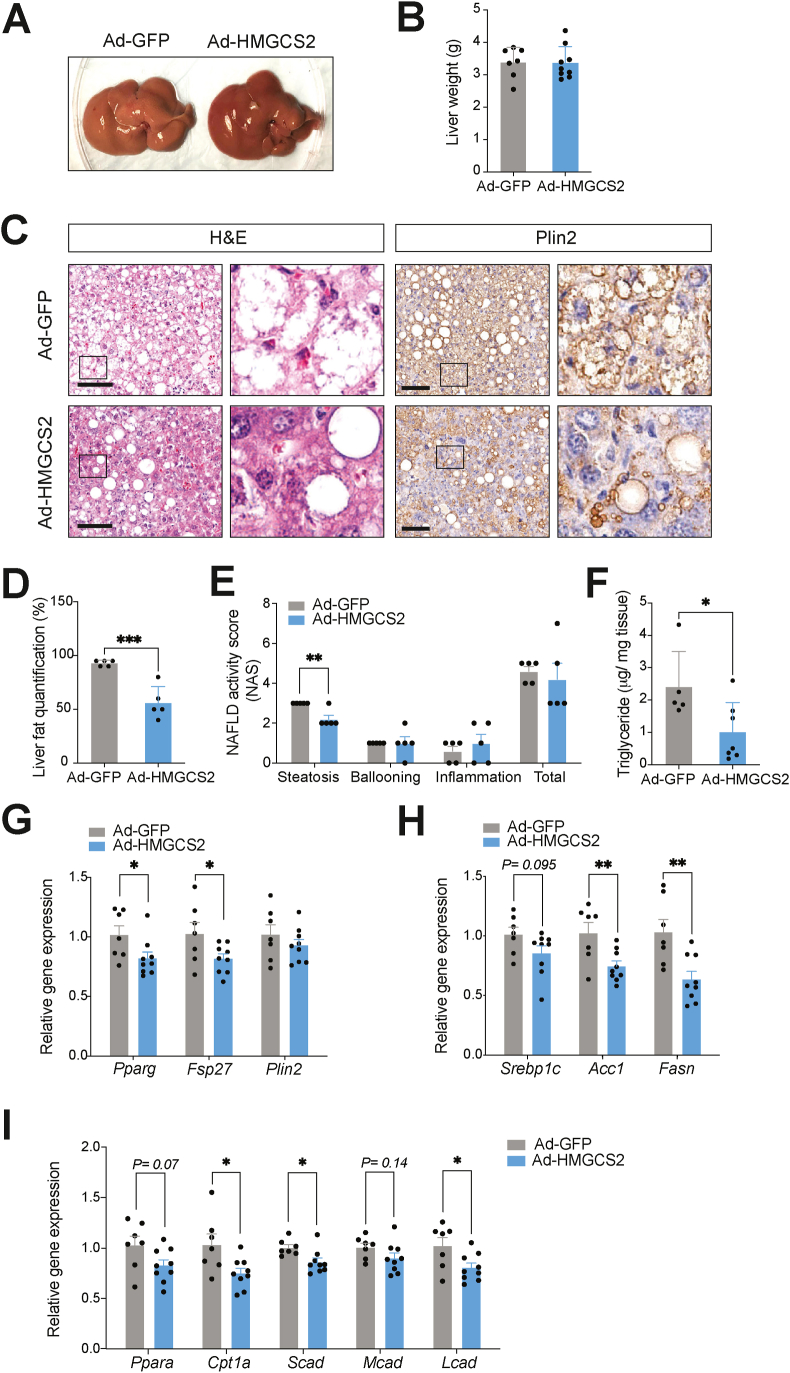 Figure 6