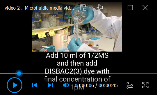 Video 2.
