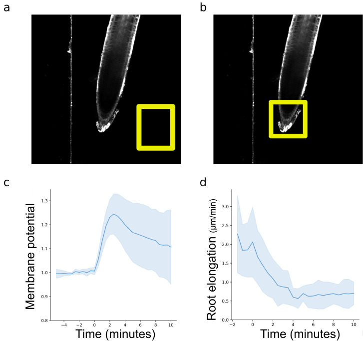 Figure 4.