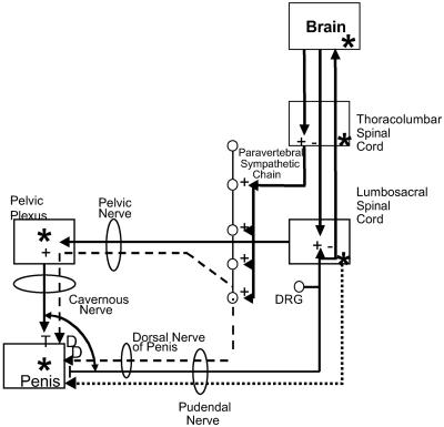 Fig 6.