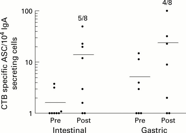 Figure 2  