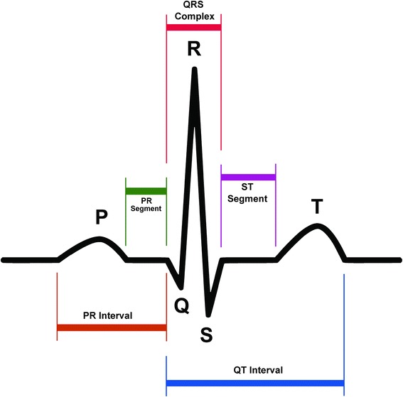 Fig. 4