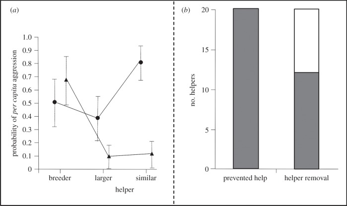 Figure 3.