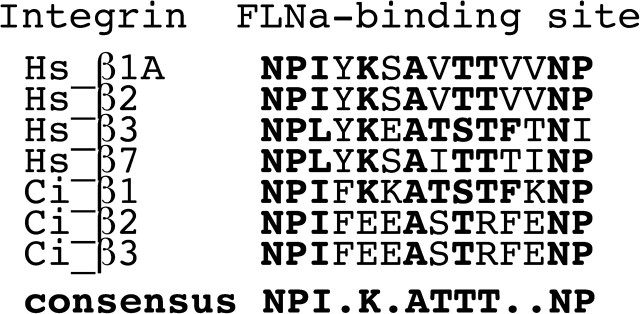 FIG. 6.