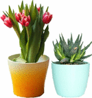 graphic file with name 146_2022_1555_Figi_HTML.gif