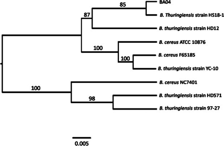 Fig. 4