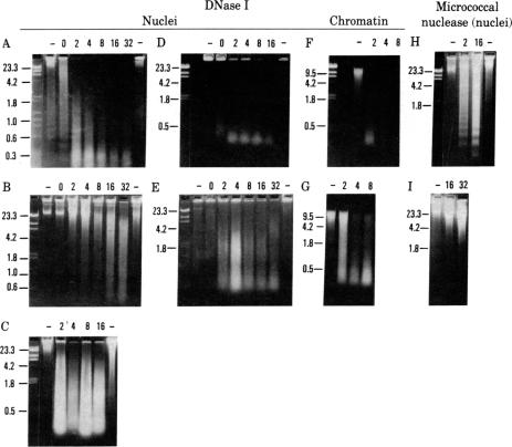 graphic file with name pnas00659-0448-a.jpg