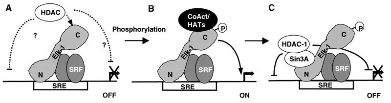 FIG. 8