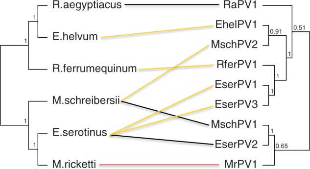 Fig. 4.—