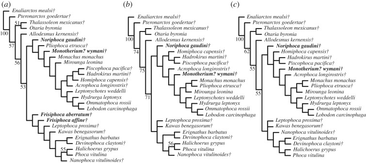 Figure 10.