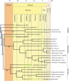 Figure 11.