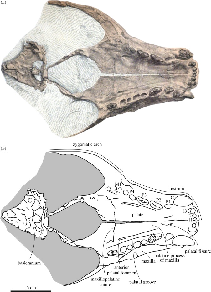 Figure 1.