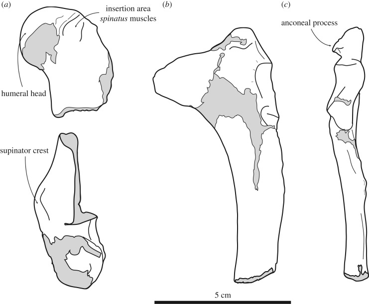 Figure 5.