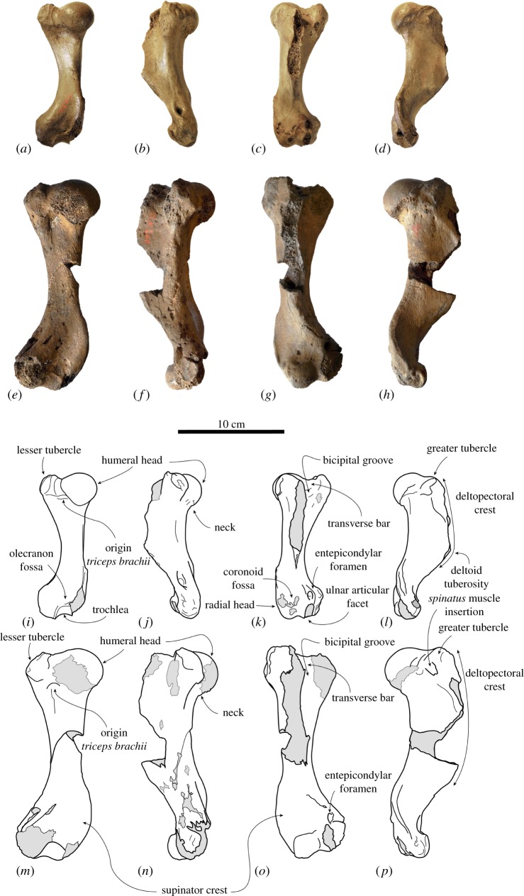 Figure 4.