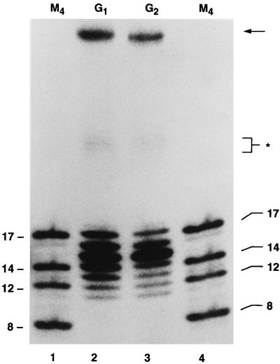 FIG. 11