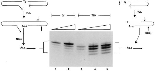 FIG. 7