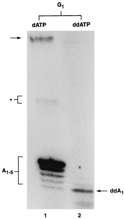 FIG. 10