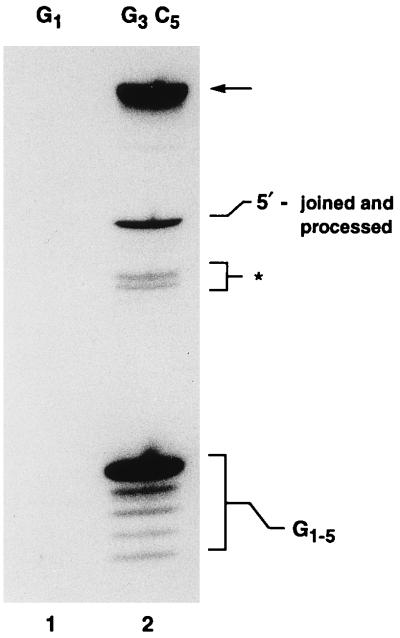 FIG. 9