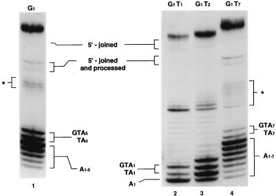 FIG. 12