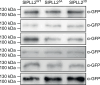 Extended Data Fig. 3