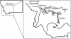 FIG. 1.