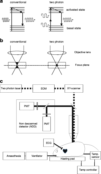 Fig. 1