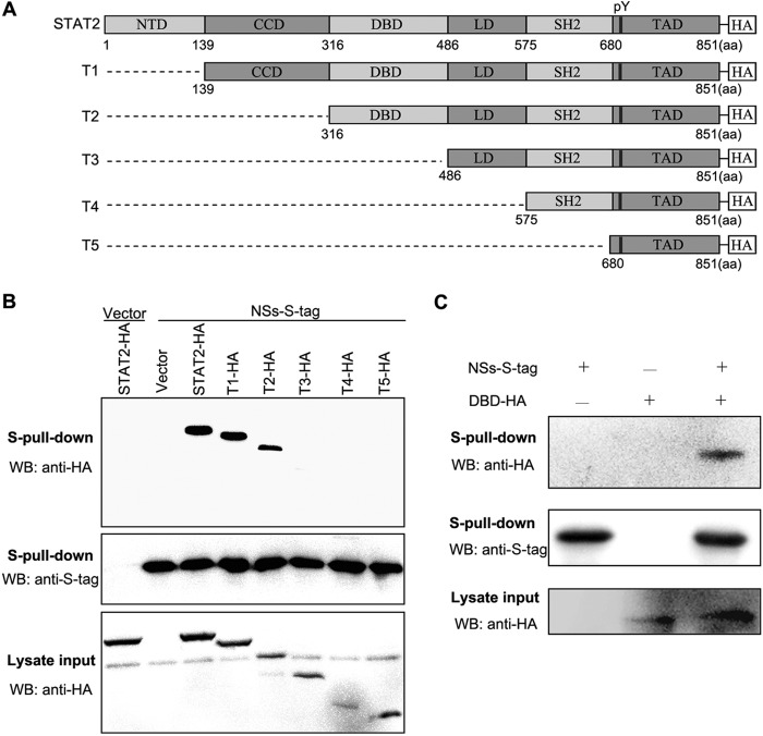 FIG 4