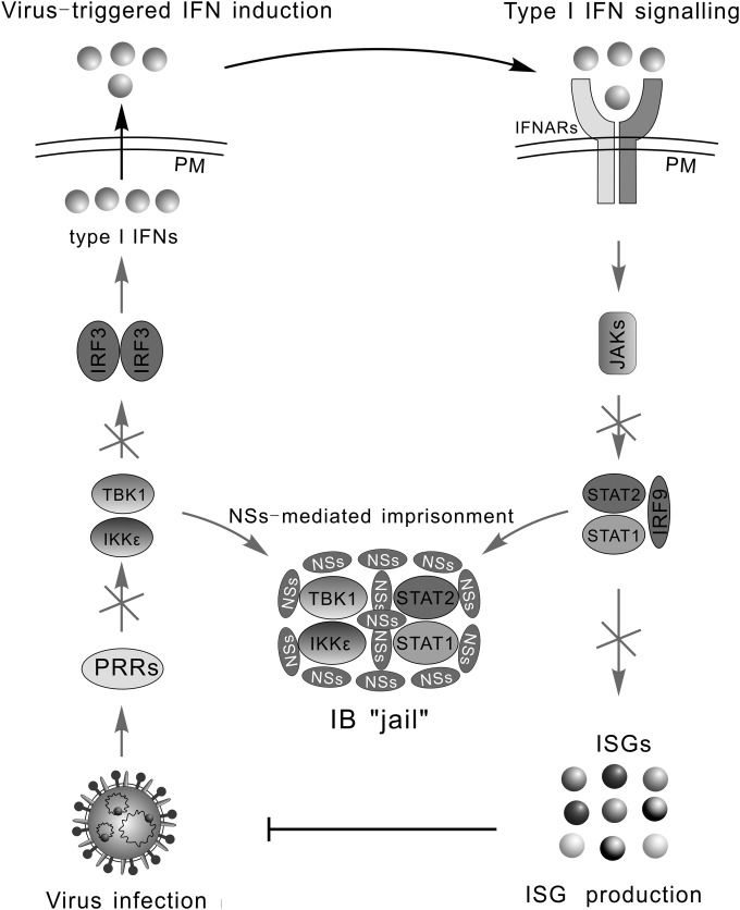 FIG 8