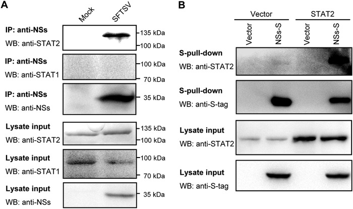 FIG 3