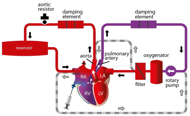 Fig. 2