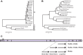 FIG 1