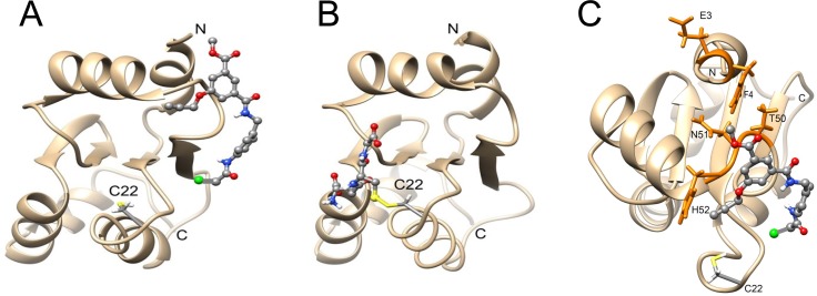 Fig 2