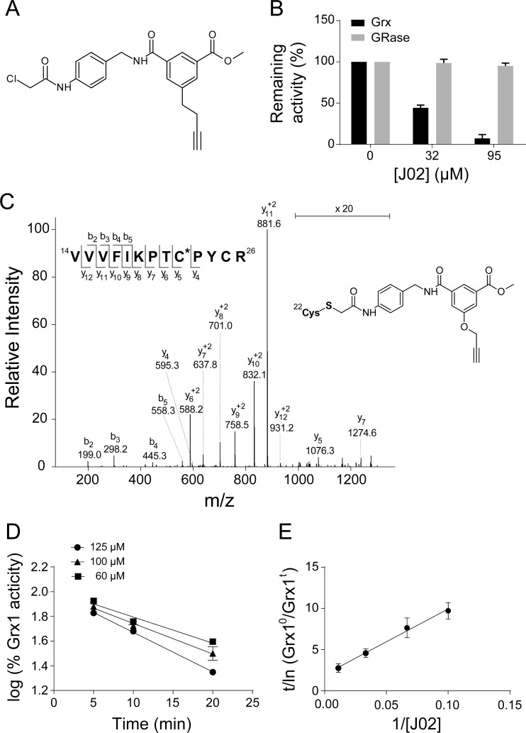 Fig 1