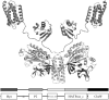 FIG. 6