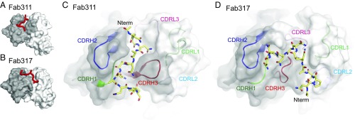 Fig. 3.