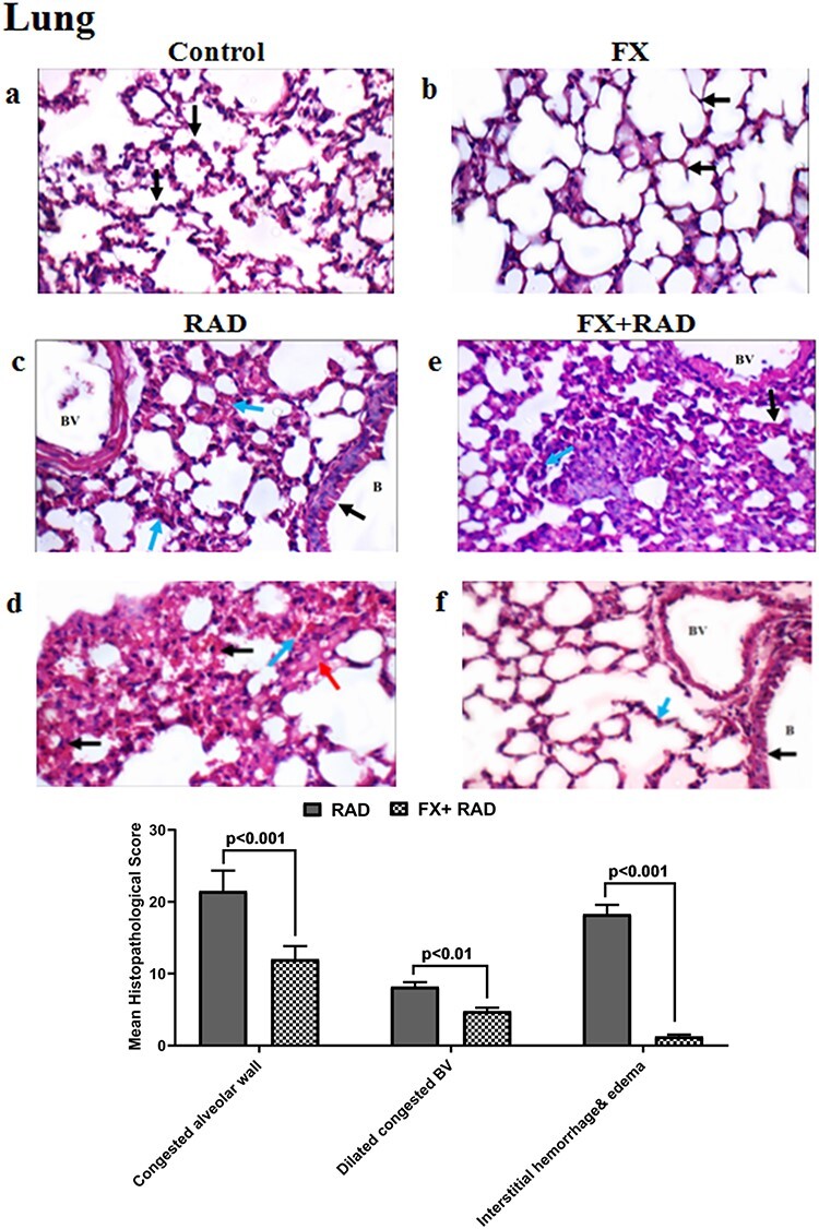 Fig. 9.