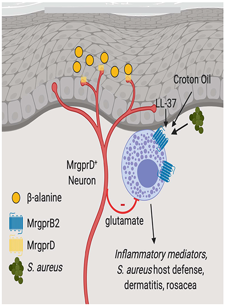 graphic file with name nihms-1680479-f0008.jpg