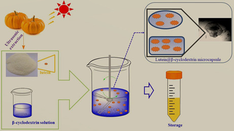 graphic file with name FSN3-11-3067-g004.jpg