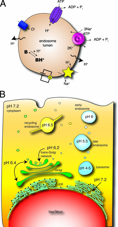 FIG. 1.