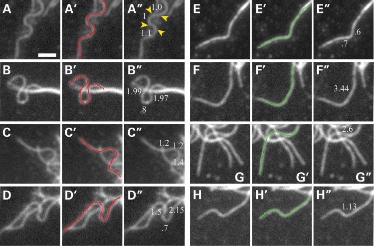 Figure 3.