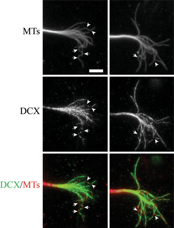 Figure 6.