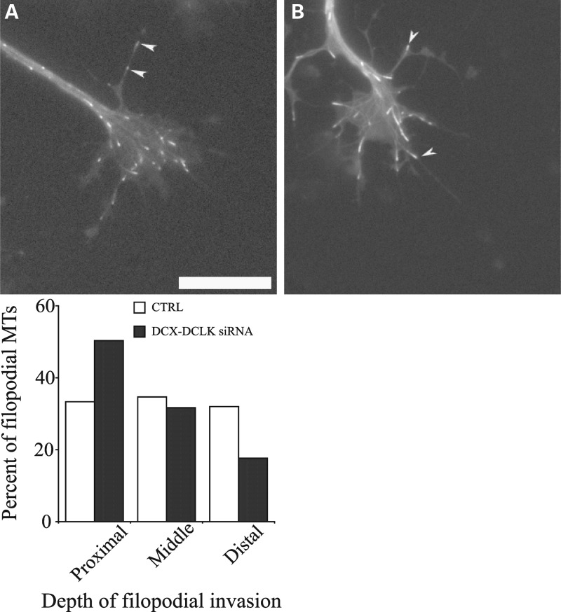 Figure 11.