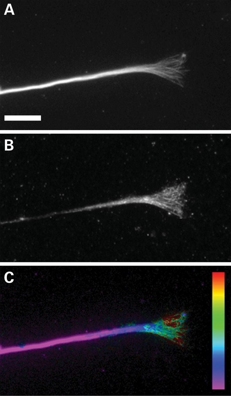 Figure 1.