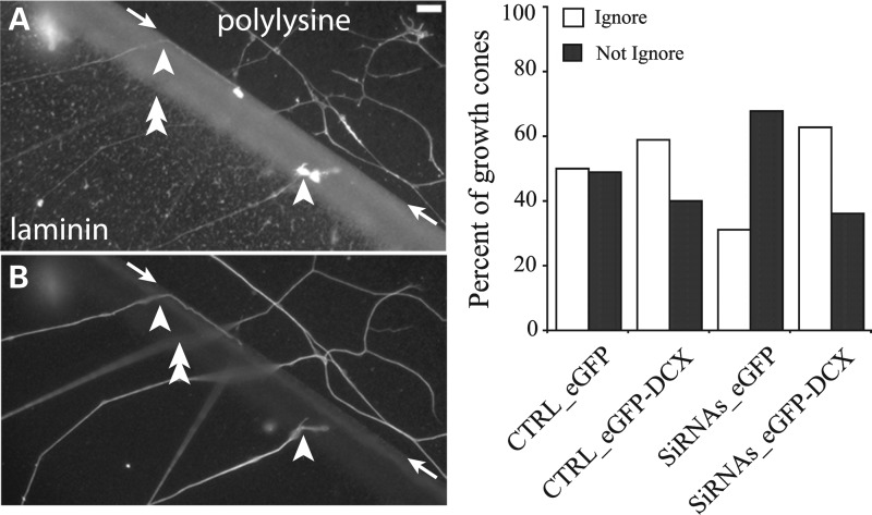 Figure 12.