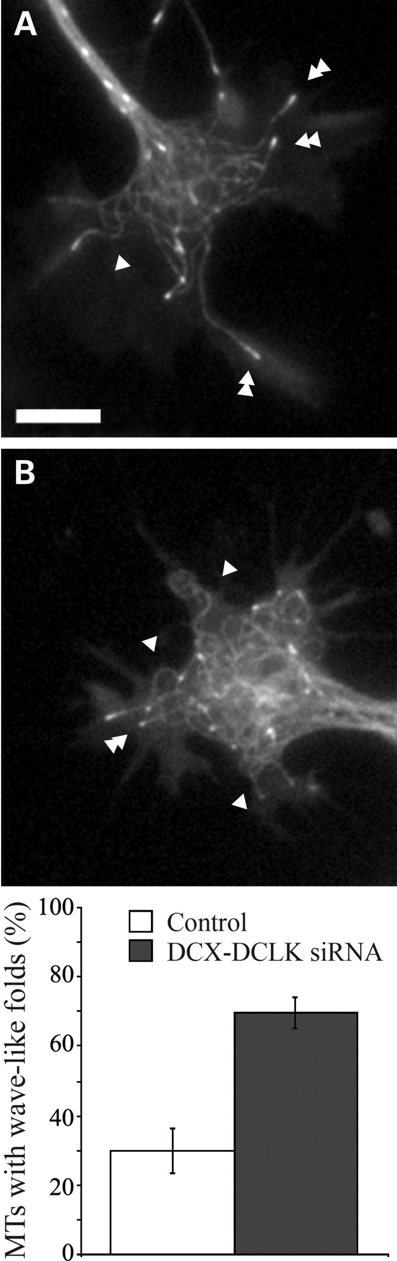 Figure 5.