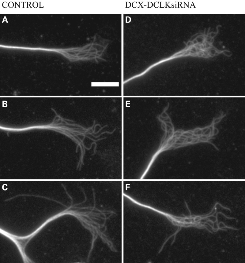 Figure 2.