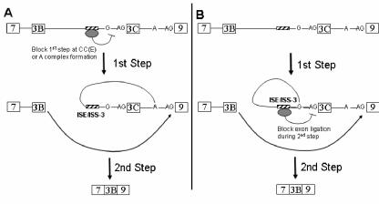 FIG. 8.